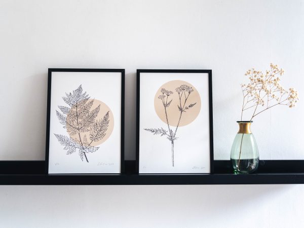 Cow Parsley Screen Prints Framed