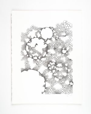 Cluster Growth Ink Drawing